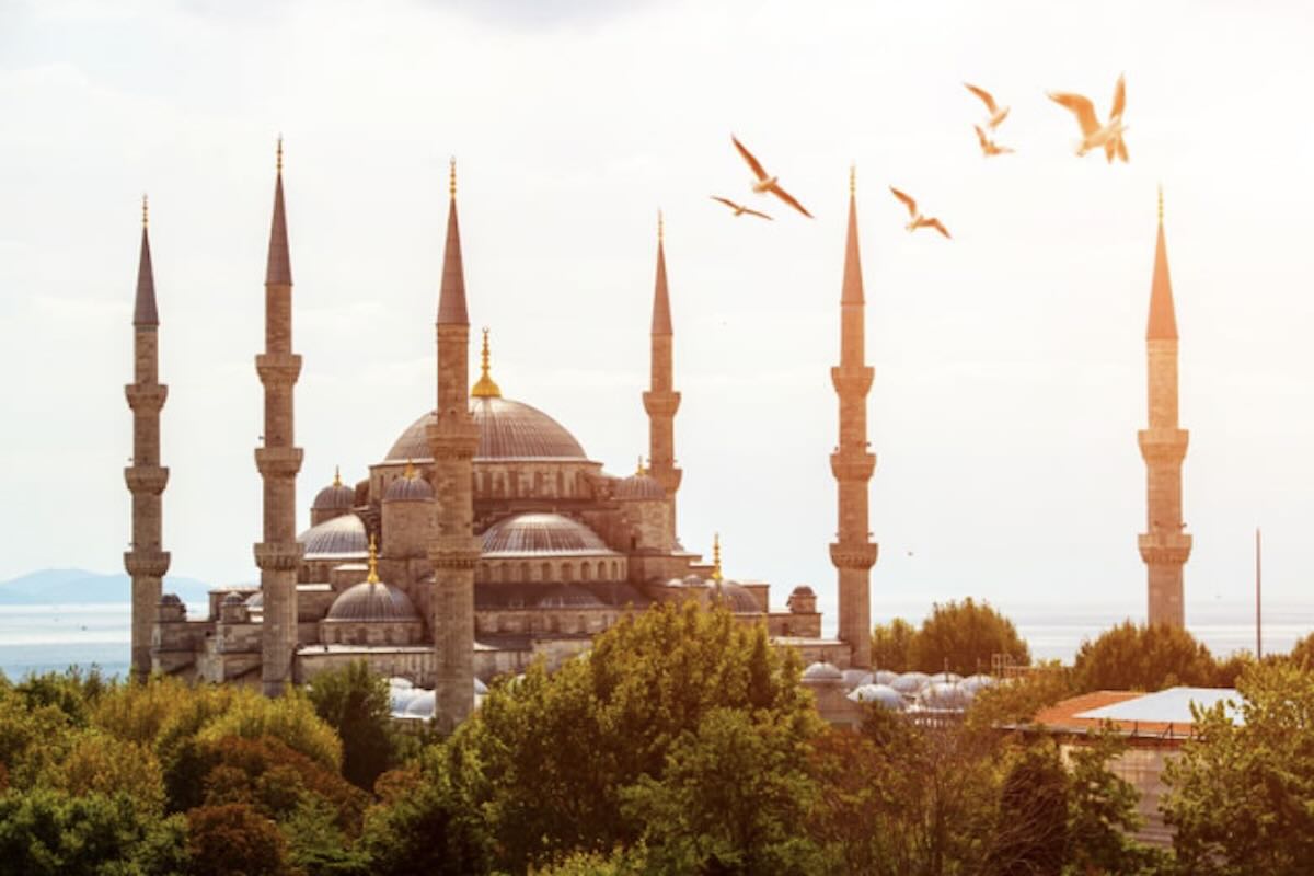 Development and Current Status of Medical Tourism in Turkey